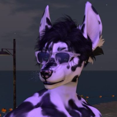 Profile picture of Calamity Void